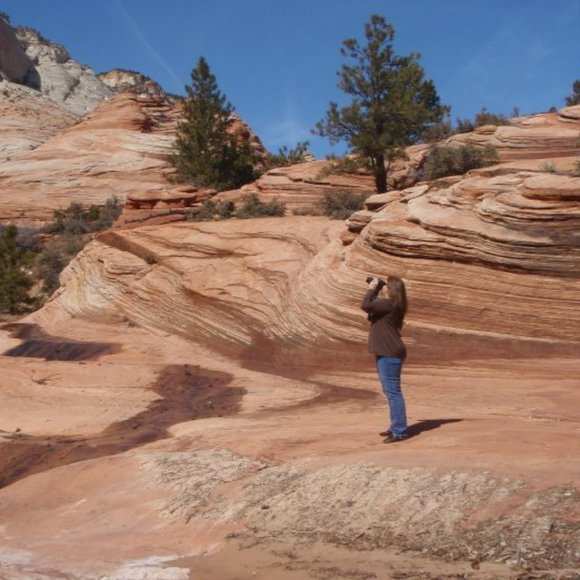 Meet your Posher, Penny - Picture 6 of 8